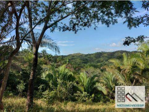 Fazenda à venda com 4 quartos, 500m² - Foto 3