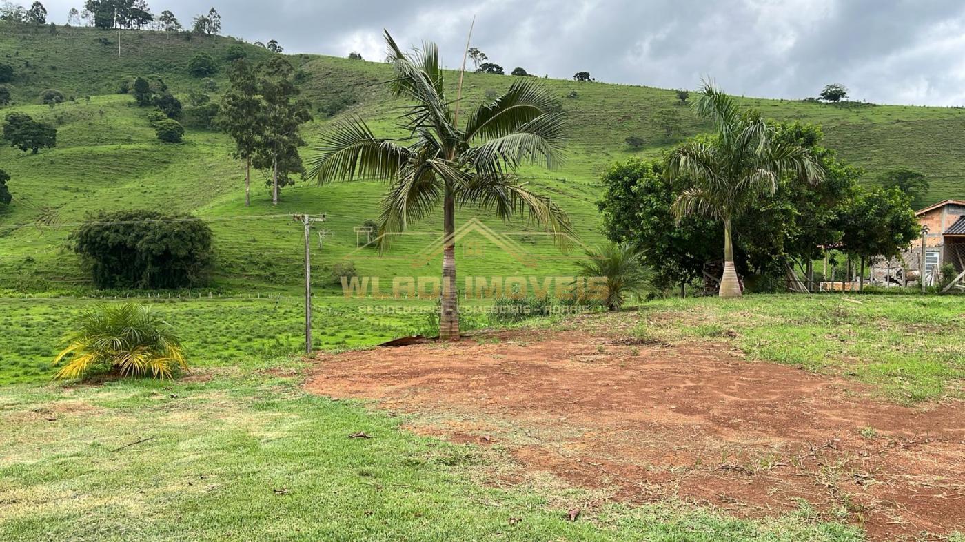 Fazenda à venda com 3 quartos, 20000m² - Foto 8