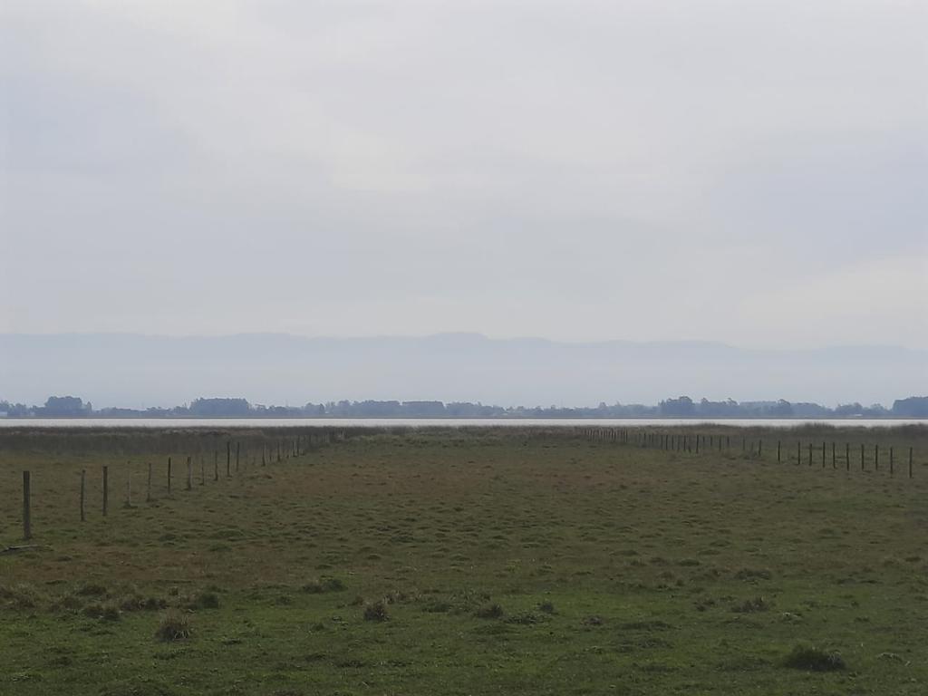 Fazenda à venda com 1 quarto, 25000m² - Foto 5