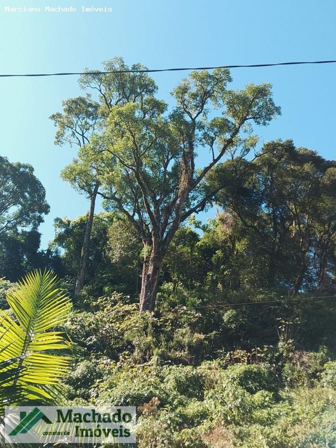 Casa à venda, 5000m² - Foto 15