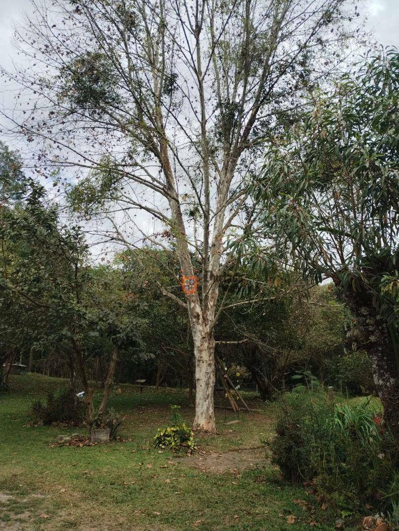 Chácara à venda com 2 quartos, 98m² - Foto 29