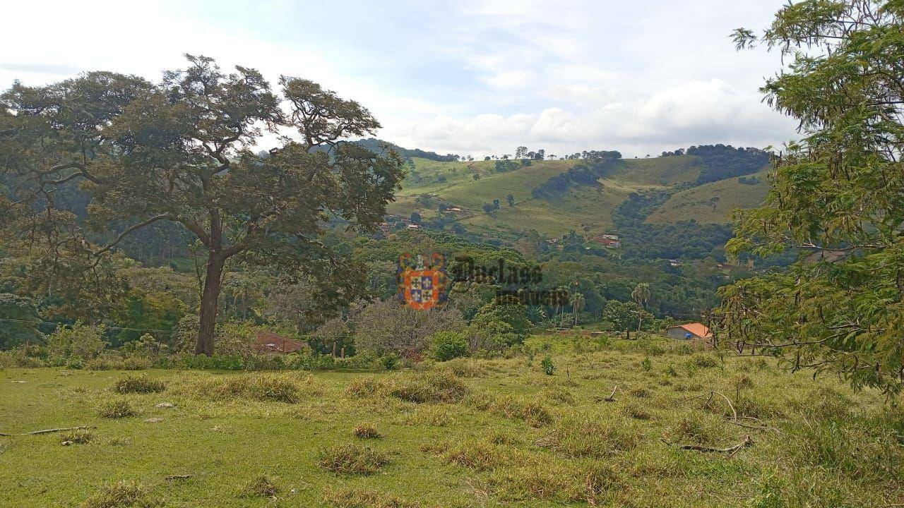 Terreno à venda, 4750M2 - Foto 4
