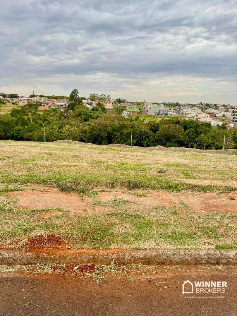 Terreno, 3 hectares - Foto 5