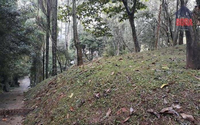 Loteamento e Condomínio à venda, 2428M2 - Foto 5