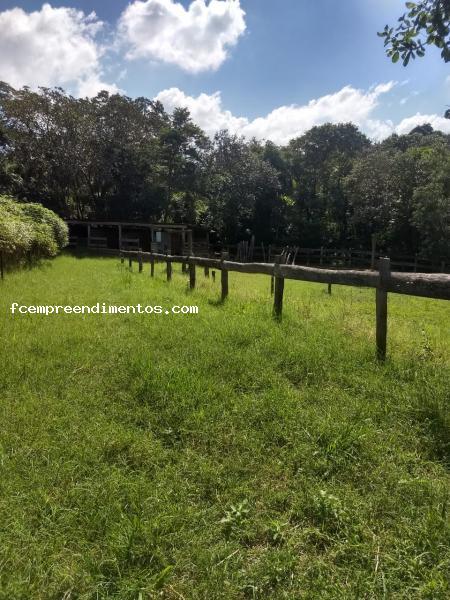 Fazenda à venda com 3 quartos, 10000m² - Foto 6