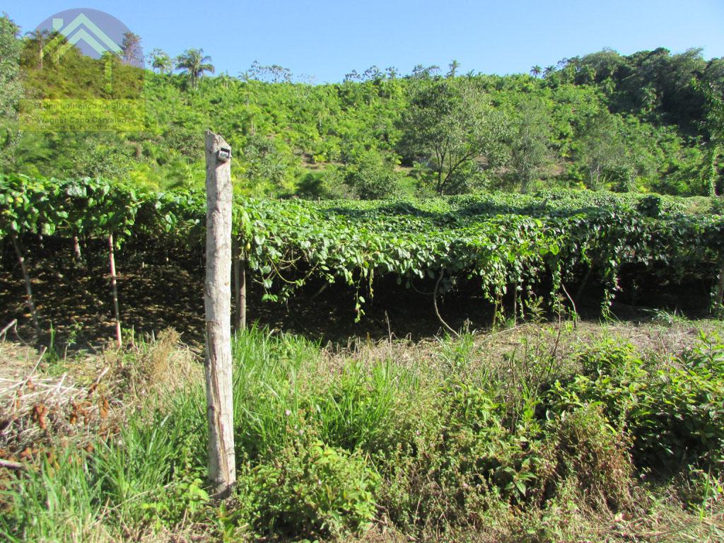 Fazenda à venda, 69m² - Foto 12