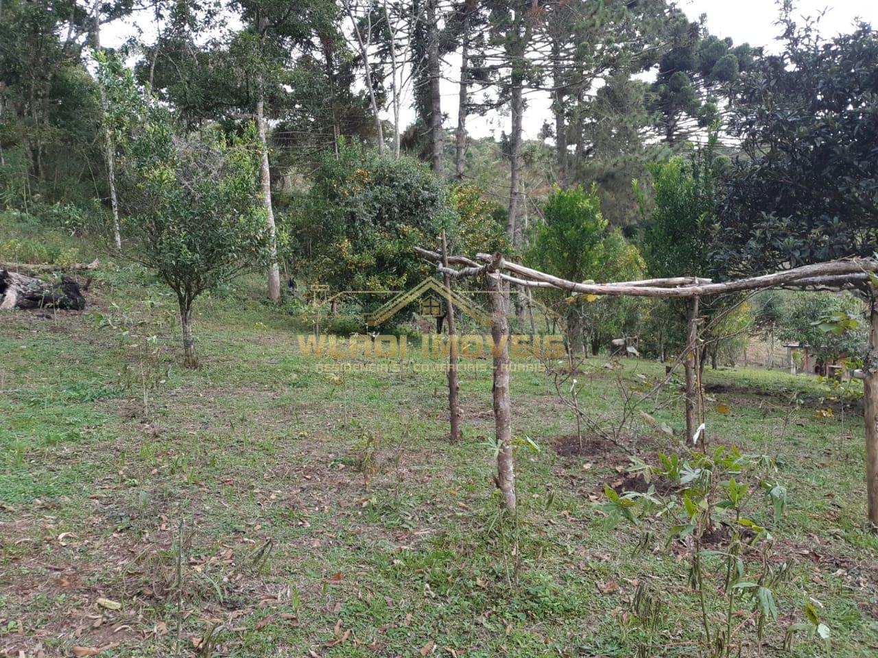 Fazenda à venda, 48400m² - Foto 20