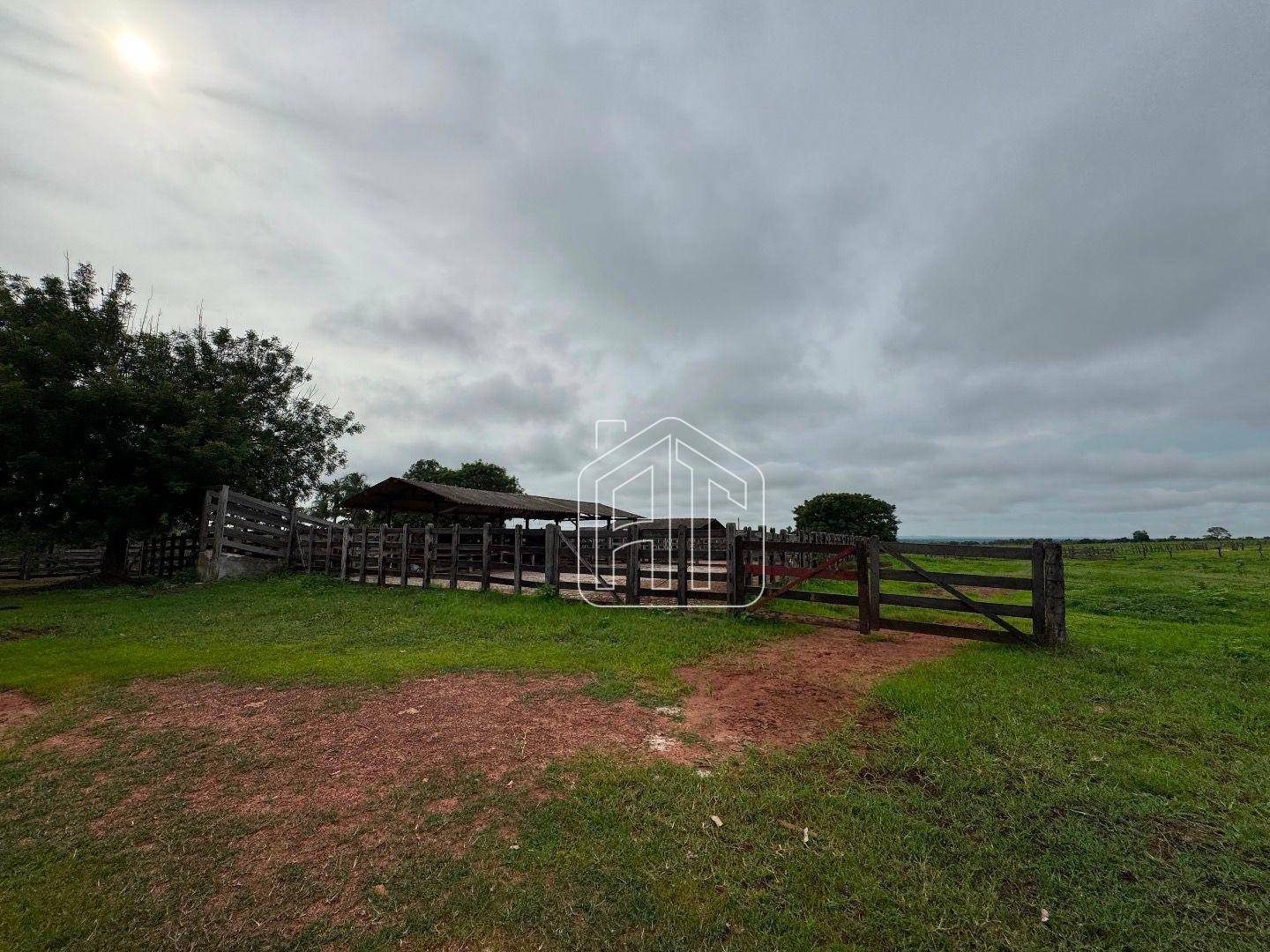 Fazenda à venda com 3 quartos, 26600000M2 - Foto 22