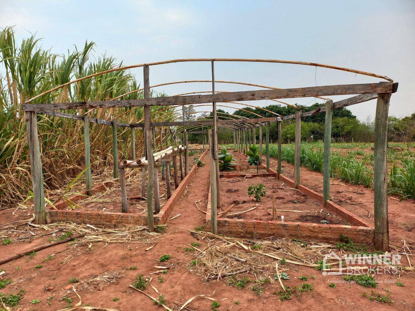 Chácara, 3 quartos, 2 hectares - Foto 7