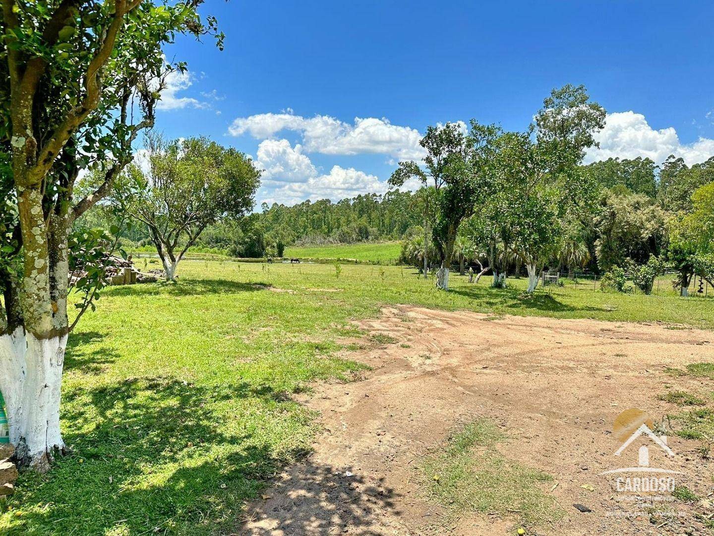 Fazenda à venda com 3 quartos, 1065000M2 - Foto 15