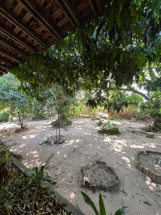 Sítio à venda com 4 quartos, 3880m² - Foto 3