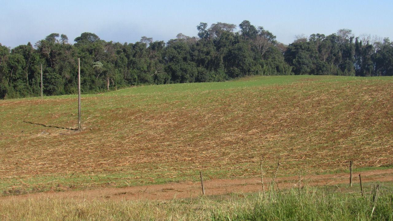 Terreno à venda, 18919m² - Foto 3