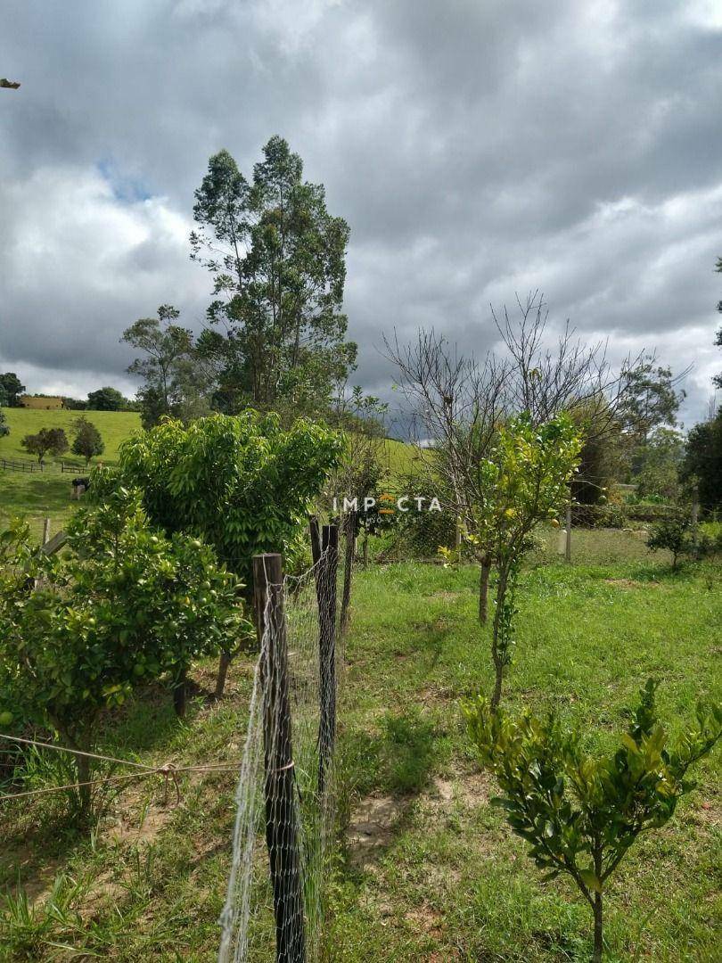 Chácara, 2 quartos, 2500 m² - Foto 9