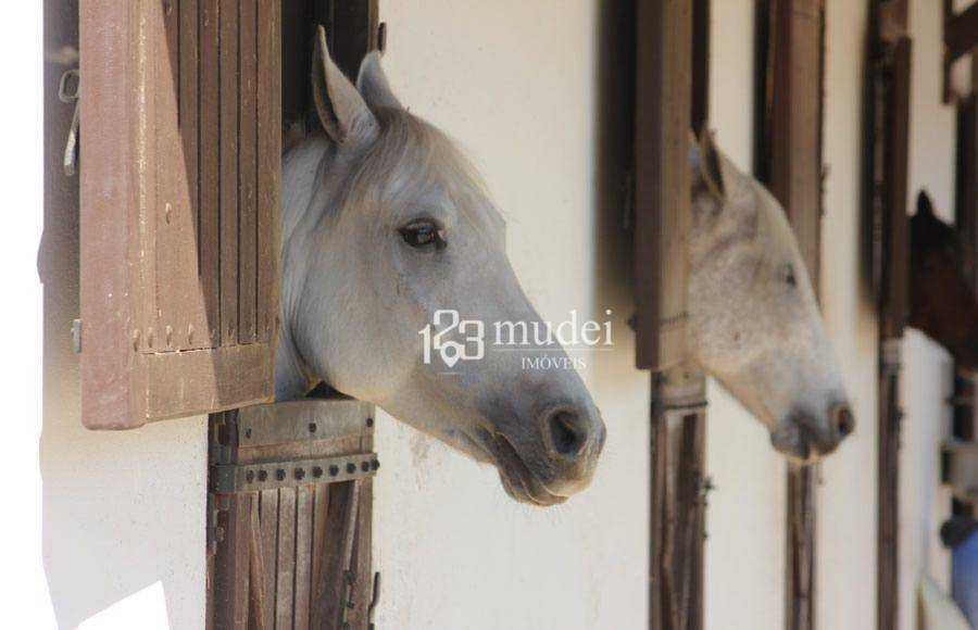 Loteamento e Condomínio à venda, 1288M2 - Foto 29