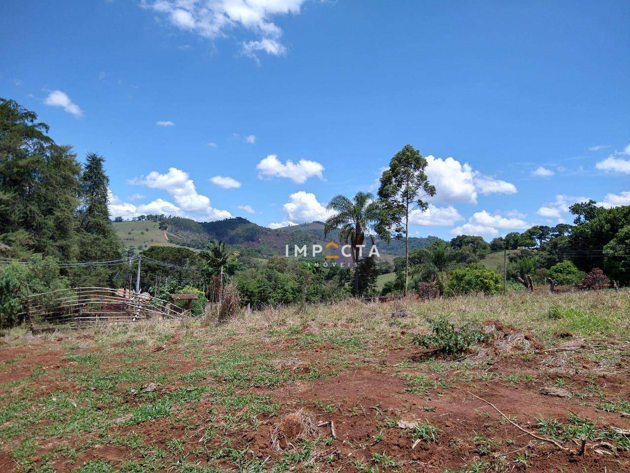 Sítio à venda com 3 quartos, 58000M2 - Foto 35