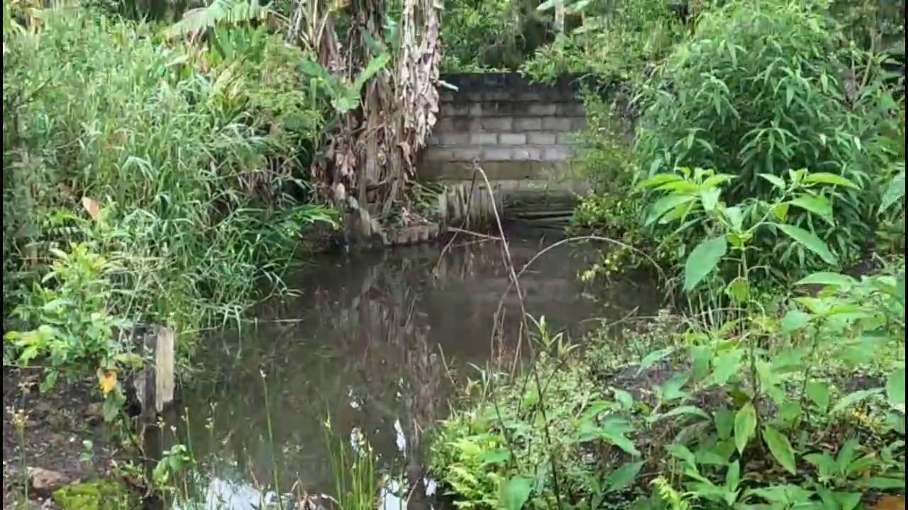 Casa de Condomínio à venda com 3 quartos, 1200m² - Foto 29