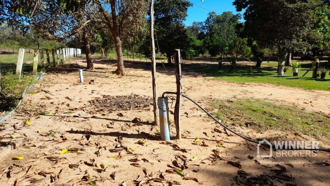 Fazenda à venda com 2 quartos, 4500000M2 - Foto 42