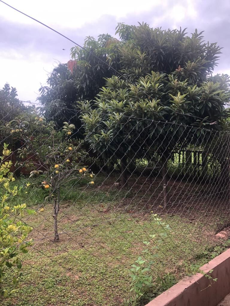 Fazenda à venda com 2 quartos, 2130m² - Foto 32