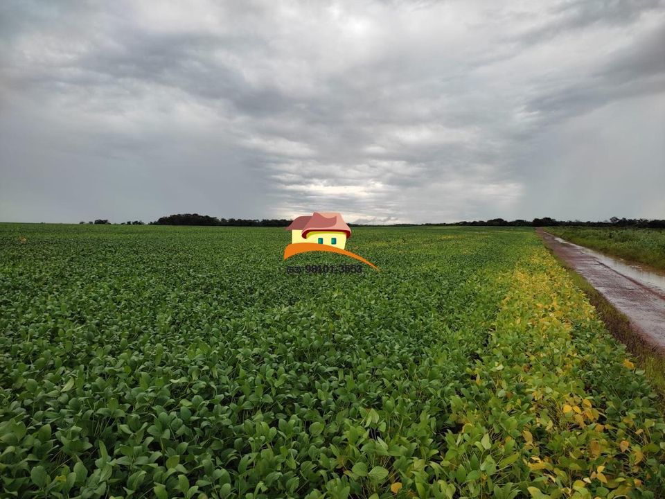 Fazenda à venda, 1m² - Foto 15