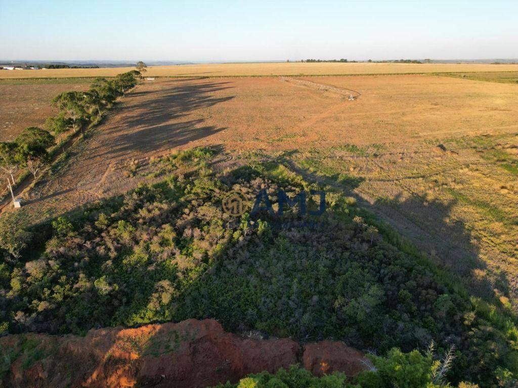 Fazenda-Sítio-Chácara, 135 hectares - Foto 3