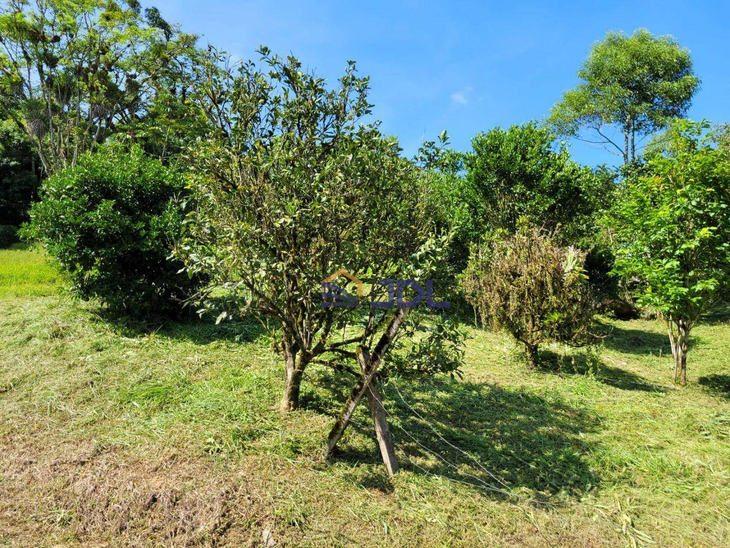 Terreno à venda, 158000M2 - Foto 5