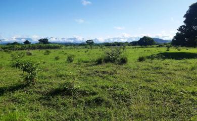 Fazenda à venda com 2 quartos, 96000m² - Foto 3