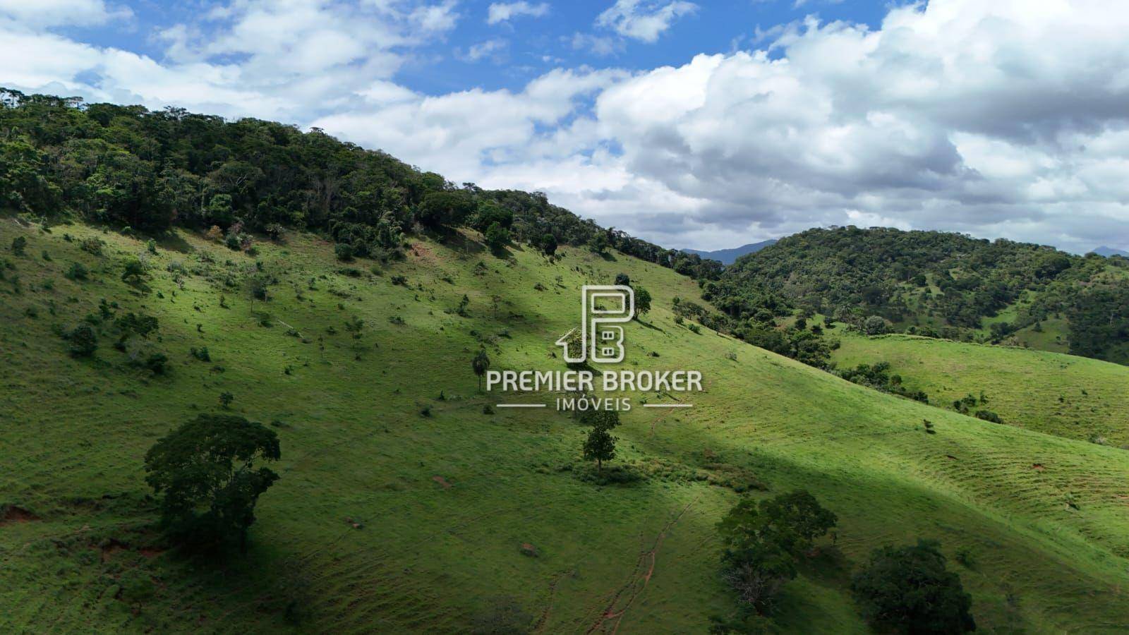 Fazenda à venda com 3 quartos, 250m² - Foto 35