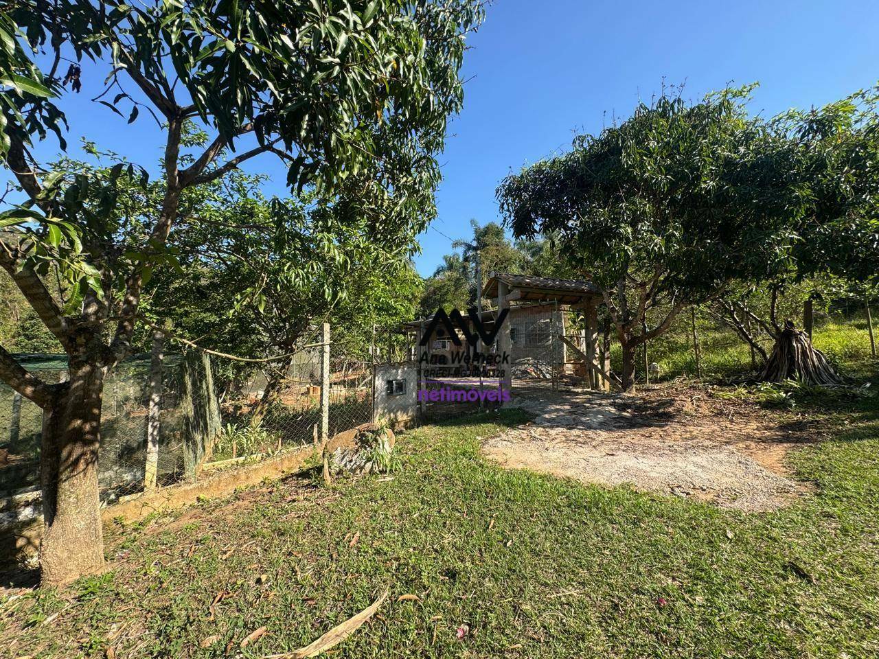 Sítio, 3 quartos, 1123 m² - Foto 2