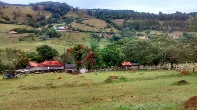 Fazenda à venda com 3 quartos, 50m² - Foto 3