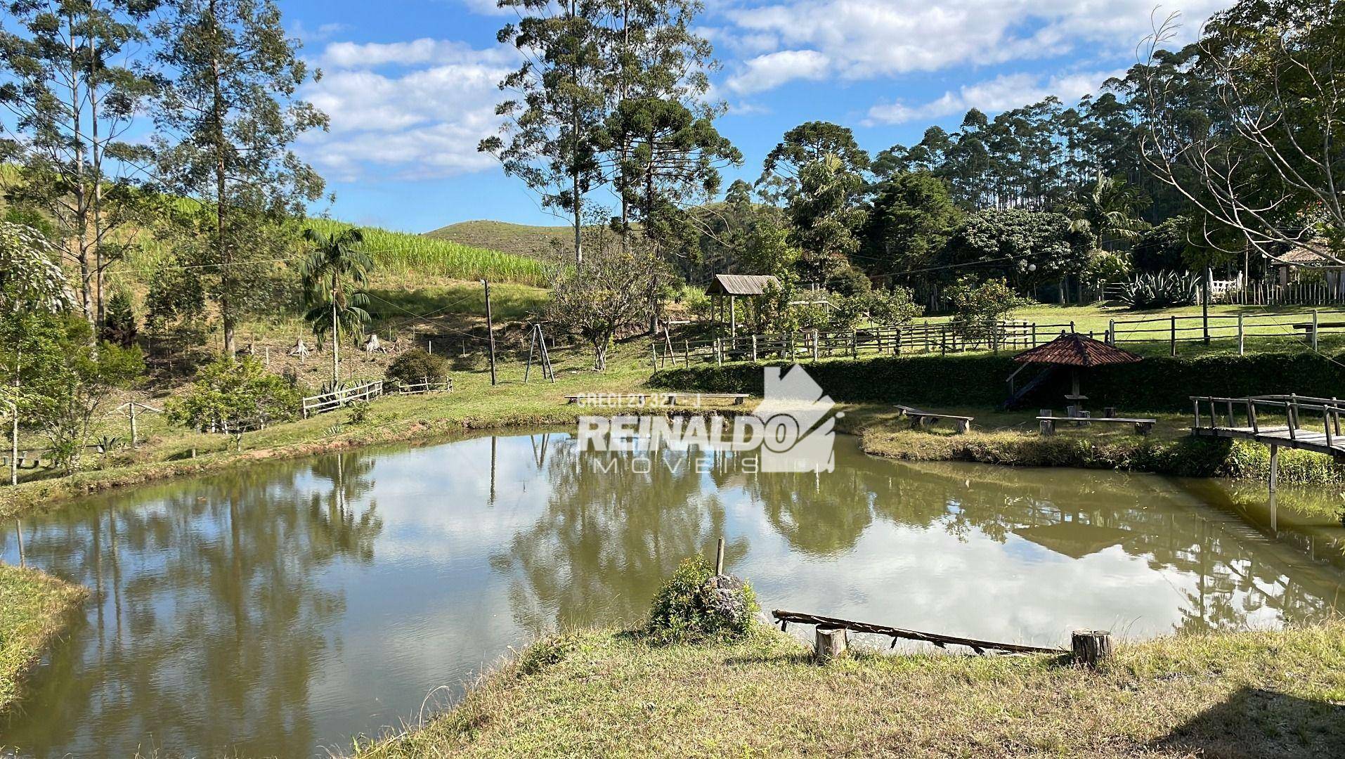 Fazenda à venda com 8 quartos, 900m² - Foto 50