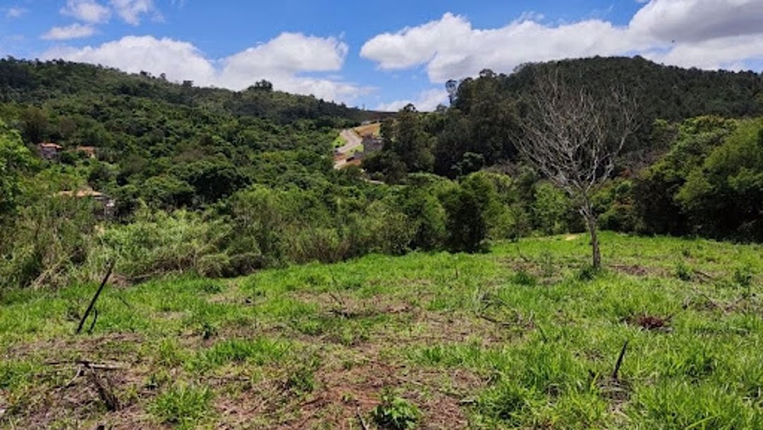 Terreno à venda, 2600M2 - Foto 1