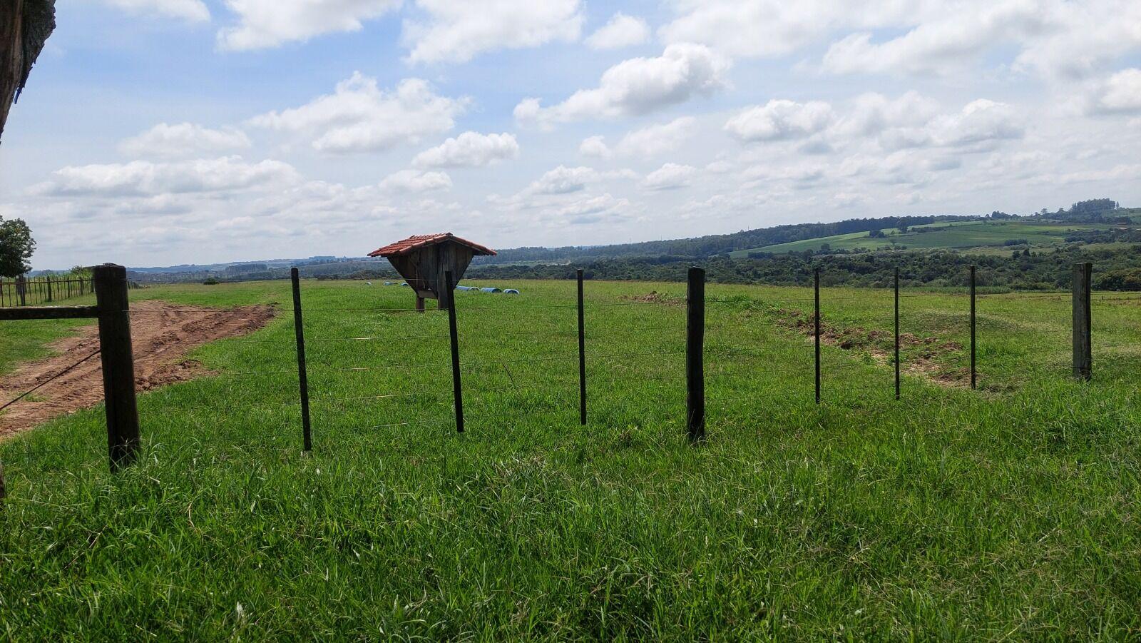 Fazenda à venda com 2 quartos, 919600m² - Foto 11