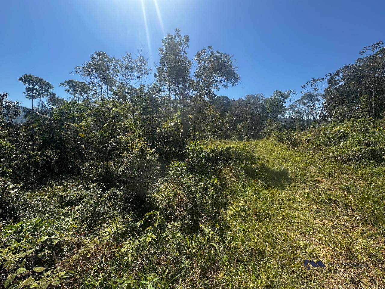 Terreno, 4 hectares - Foto 1