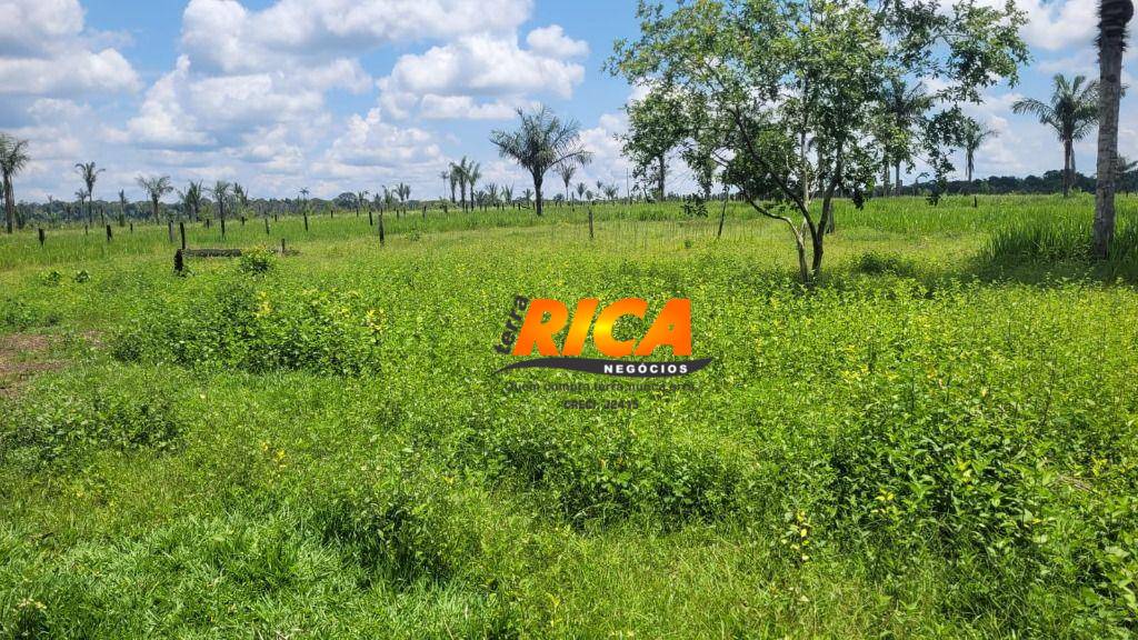 Fazenda, 300 hectares - Foto 19