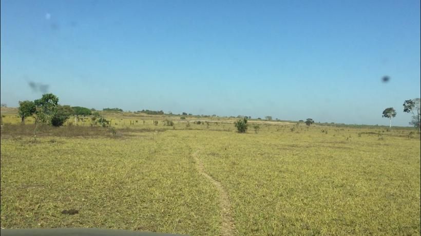 Fazenda-Sítio-Chácara, 1123 hectares - Foto 1