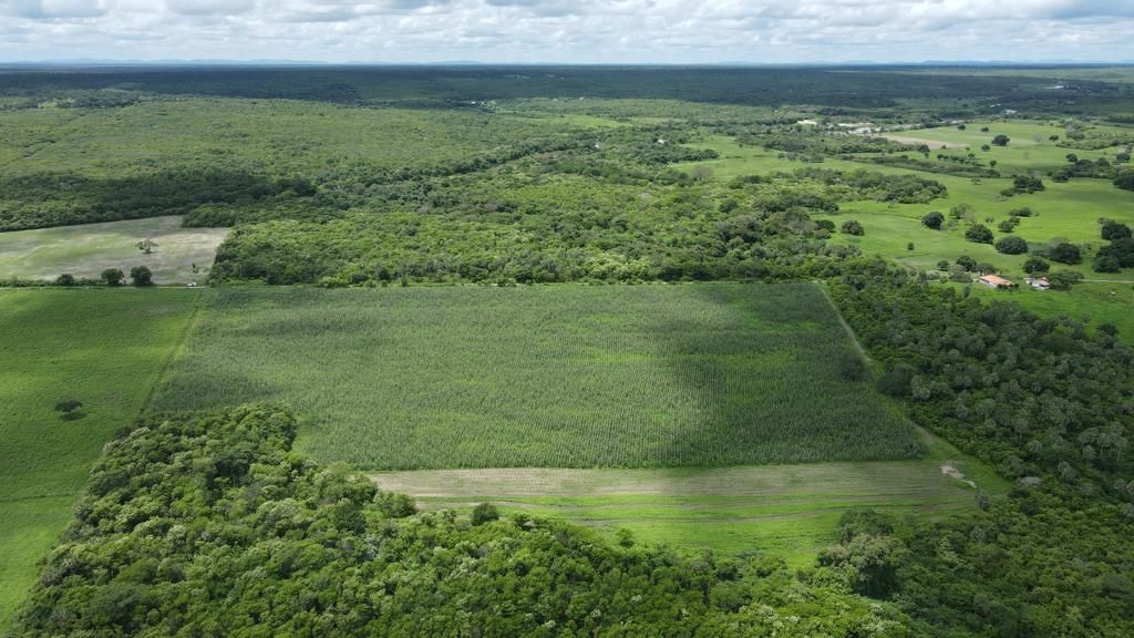 Terreno, 200 hectares - Foto 1