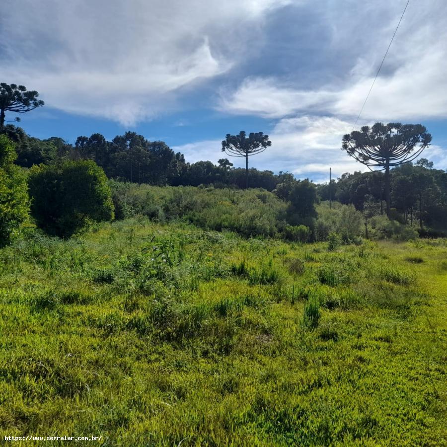 Fazenda à venda, 10m² - Foto 1