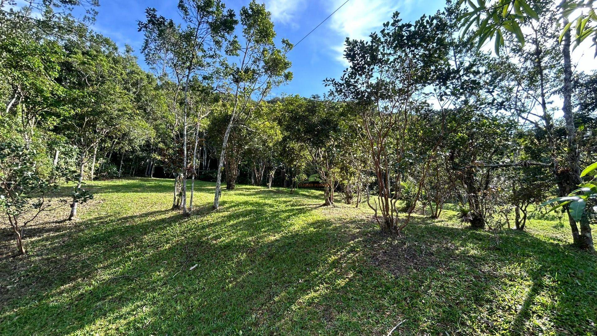 Sítio, 24 m² - Foto 6