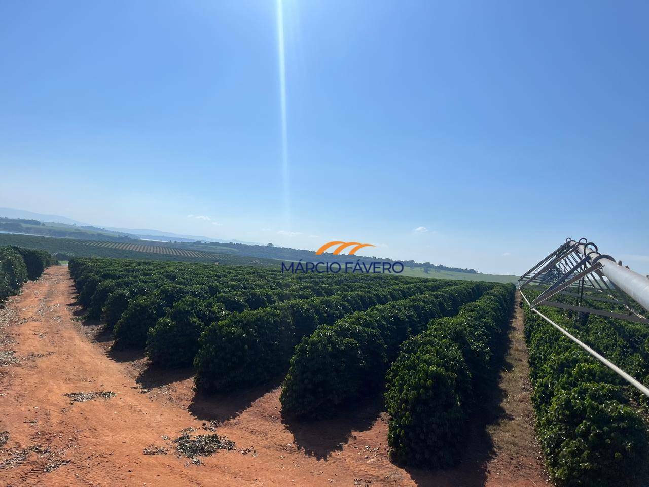 Fazenda à venda, 970000M2 - Foto 9