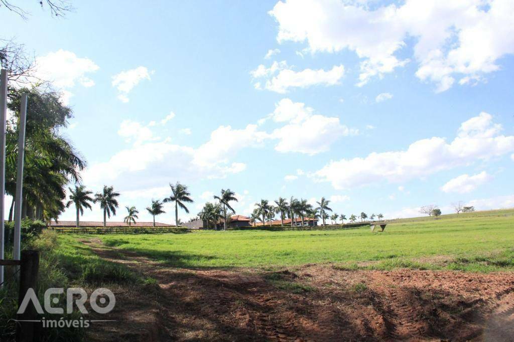 Fazenda à venda com 3 quartos, 400m² - Foto 17