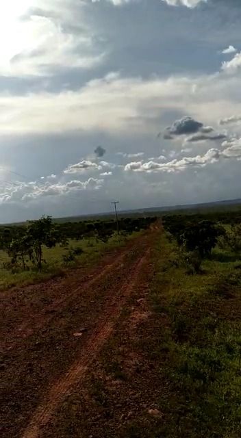 Fazenda à venda com 1 quarto, 17800000M2 - Foto 14