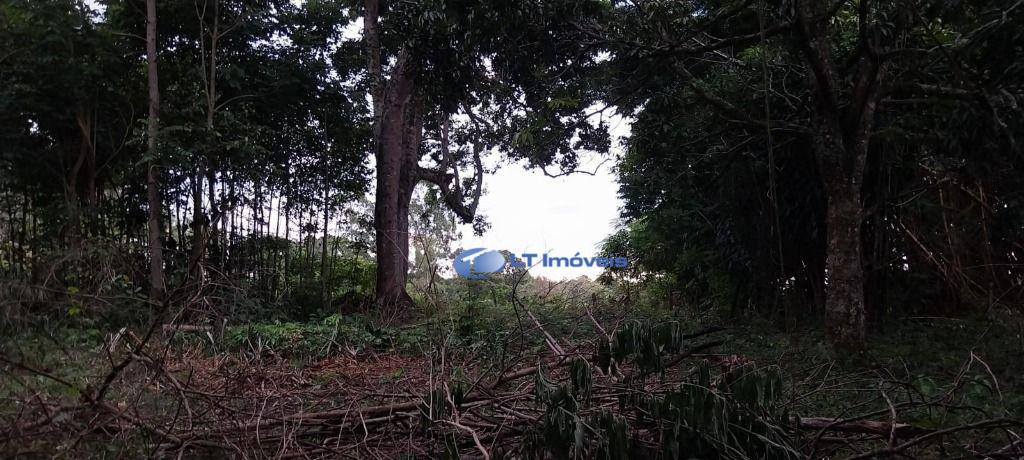 Terreno, 5800 m² - Foto 3