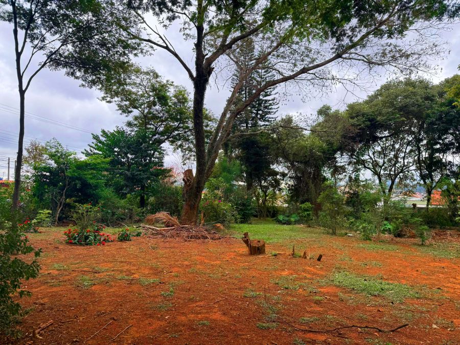 Terreno à venda, 340m² - Foto 19