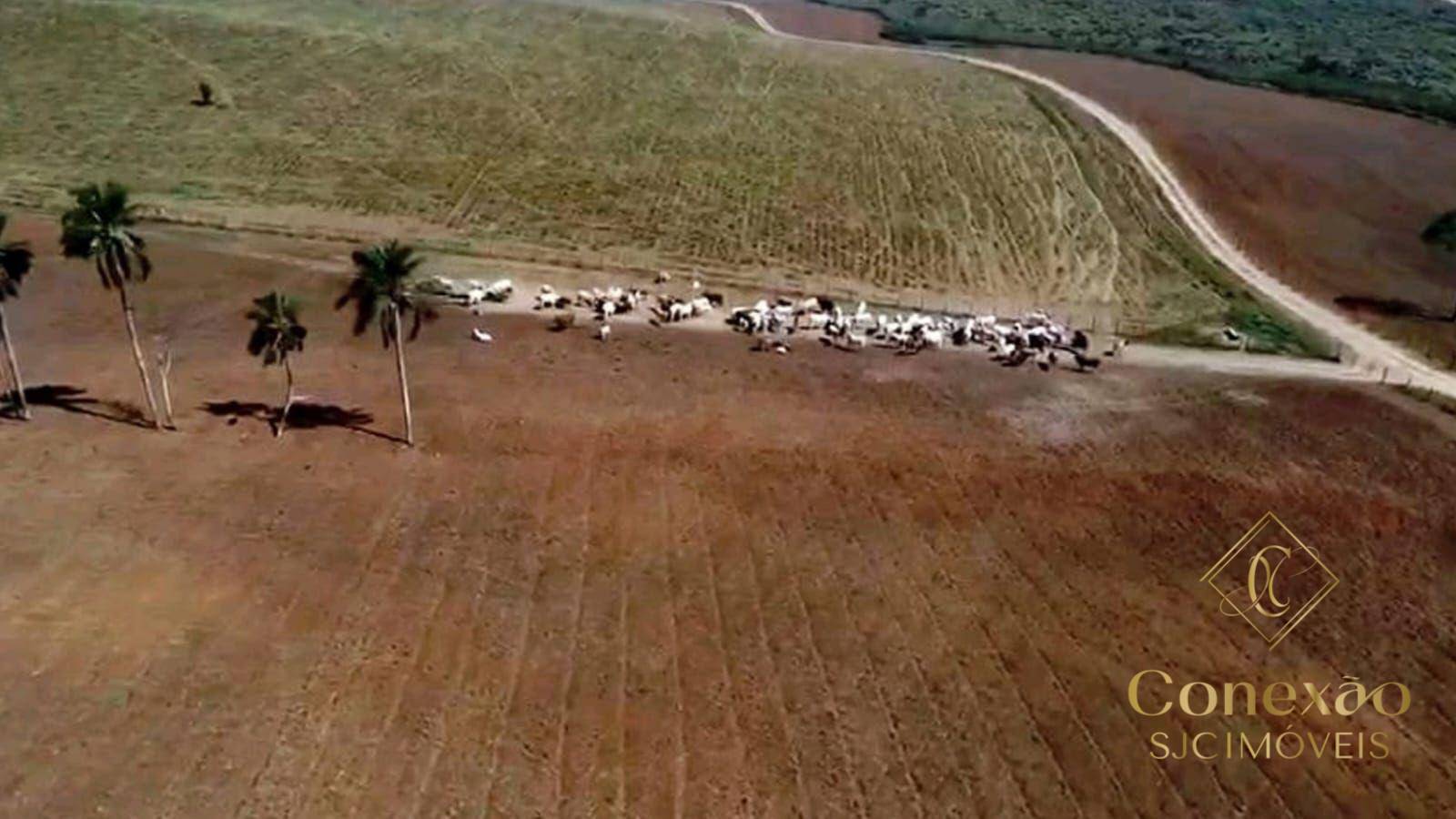 Fazenda, 257 hectares - Foto 23