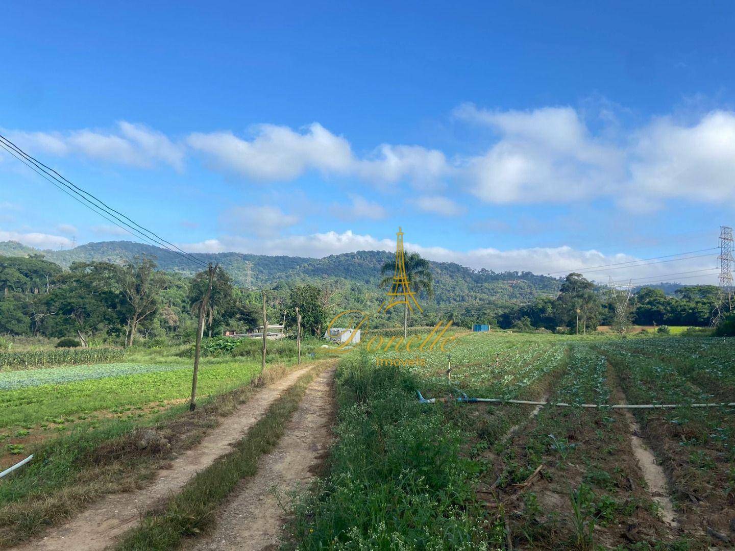 Terreno à venda, 194000M2 - Foto 2