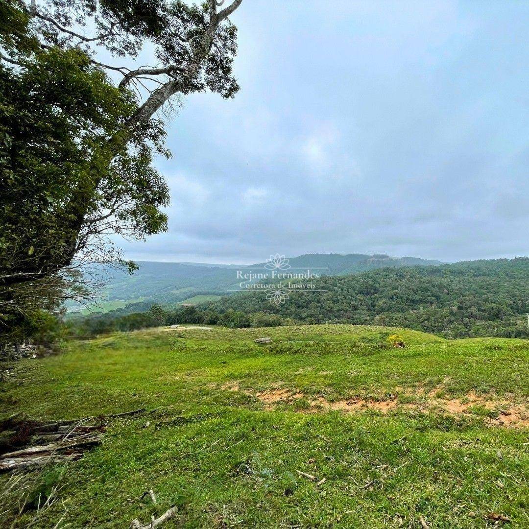 Terreno à venda, 20000M2 - Foto 3