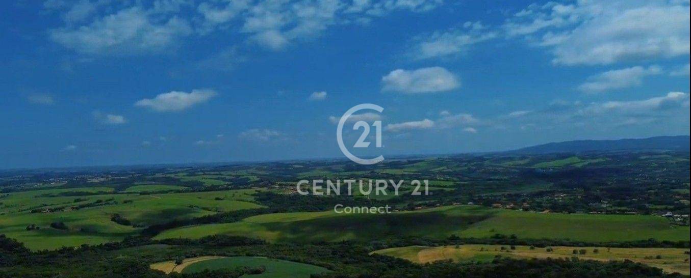 Fazenda-Sítio-Chácara, 237 hectares - Foto 12