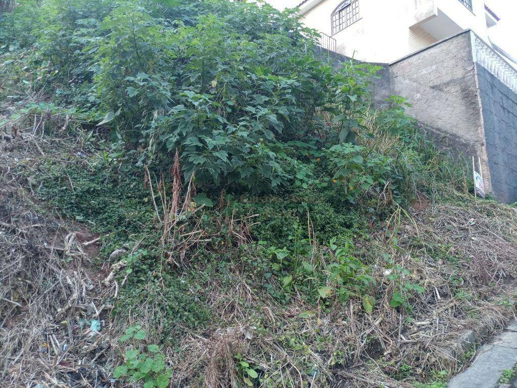 Terreno à venda, 310M2 - Foto 5