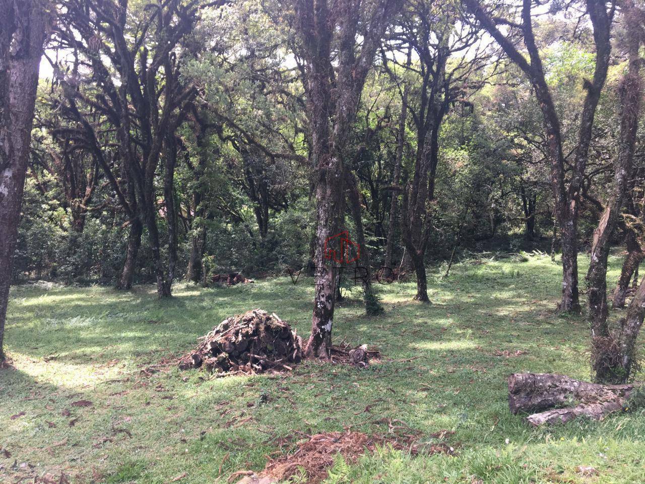 Loteamento e Condomínio à venda, 595M2 - Foto 1