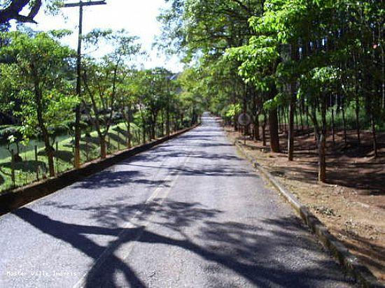 Terreno à venda - Foto 8